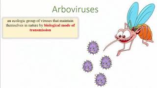 Arboviruses [upl. by Alida]