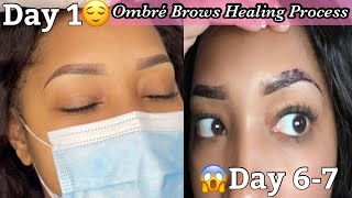 Ombre Brows Healing Process [upl. by Einaffyt]