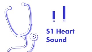 S1 Heart Sound  Learn How to Auscultate Part 8 [upl. by Charline]