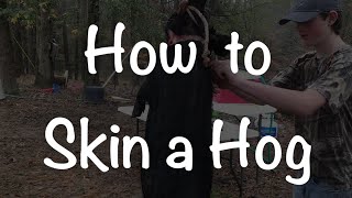 How to Skin a Hog the Easy Way [upl. by Sigismondo]