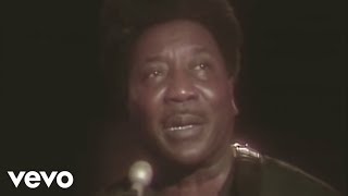 Muddy Waters  Hoochie Coochie Man Live [upl. by Amla]