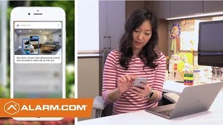 Alarm com Video Analytics Feature Walkthrough [upl. by Lamdin]