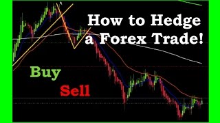 How to Hedge a Forex Trade to make money in both directions [upl. by Ennayoj]