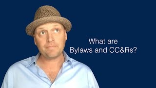 What are Bylaws and CCampRs [upl. by Aridnere]