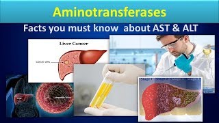 AminotransferaseClear overview about ASTALT [upl. by Filippa]