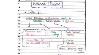 Wilsons Disease Pathology  Morphology [upl. by Ybbil]