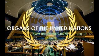 Organs of the United Nations  How the UN functions [upl. by Tilford]