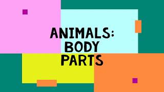 Animals Body Parts Grade 3 [upl. by Irac]