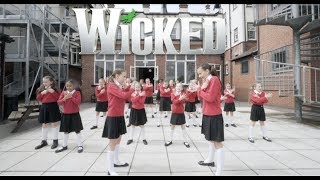 What Is This FeelingPopular Cover Wicked The Musical [upl. by Aekahs362]