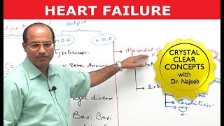 Heart Failure  Cardiac Pathology [upl. by Eartha]