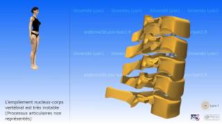 La colonne cervicale [upl. by Sissy]