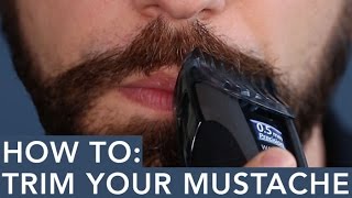 How to Trim Your Mustache [upl. by Aitercul]