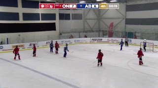 2019 CWG  Ringette  Game 21  AB vs ON [upl. by Inigo]