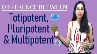 Difference Between Totipotent Pluripotent and Multipotent I NEET GATE CSIRNET IITJAM DBT ICAR ICMR [upl. by Kala103]