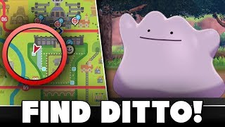 Where To Find Ditto In Pokemon Sword And Shield [upl. by Eiramllij]