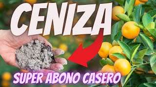 ⭐ CENIZA Abono para Floración y Crecimiento 🍒 Fertilizante Casero Orgánico para Frutales y Flores [upl. by Ycrep]