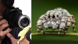 Use Any Lens for Macro Photography [upl. by Ramaj]