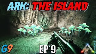 Ark Survival Evolved  The Island EP9 Our First Artifact [upl. by Aiveneg59]