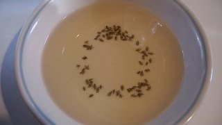 Easy Fruit fly Trap Dawn soap and vinegar [upl. by Gae]