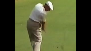 Hogan Swinging Left Drill [upl. by Kornher]