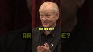 Bill Murray learns who Joe Rogan is ON his podcast 😂😭 [upl. by Gardol]