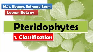 Classification  Pteridophytes [upl. by Niple]