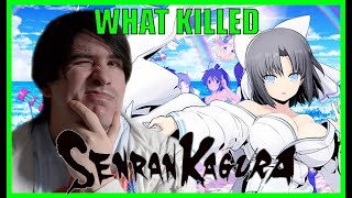 WHAT KILLED SENRAN KAGURA  EDIT SENRAN IS SAVED [upl. by Kingsly]