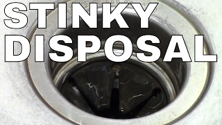 GARBAGE DISPOSAL HOW TO CLEAN  FAST Simple TRICK ICE [upl. by Gearalt]