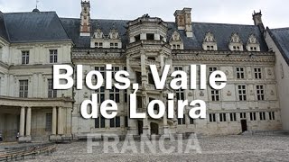 Conociendo Blois y su castillo Valle de Loira  FRANCIA [upl. by Hephzipah638]