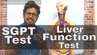 SGPT blood test in Hindi [upl. by Tlaw]