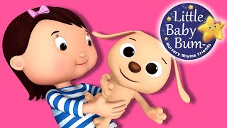 Little Puppy Song  Nursery Rhymes for Babies by LittleBabyBum  ABCs and 123s [upl. by Tuppeny]