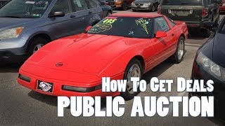 PUBLIC Car Auction  How To Tutorial Guide [upl. by Wandie]