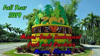 Zoo Miami Full Tour  Miami Florida [upl. by Etnaed]