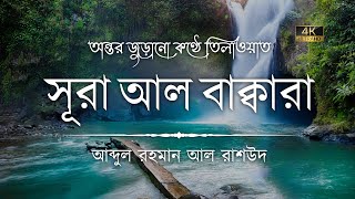 সূরা আল বাকারা এর অত্যন্ত দরদী কন্ঠে তিলাওয়াত┇Surah Al Baqarah Recited by Abdul Rahman Al Rashoud [upl. by Abad]