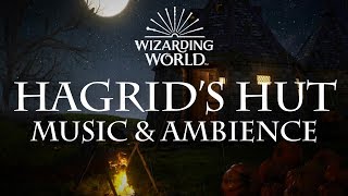 Harry Potter Music amp Ambience  Hagrids Hut [upl. by Ah]