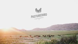 Pasture Raised Chicken Farm in San Diego County CA [upl. by Earlie120]