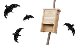 Find the best bat house amp where NOT to place it [upl. by Onitnatsnoc973]