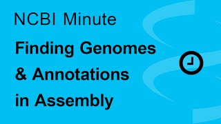 The NCBI Minute Finding Genomes and Annotations in Assembly [upl. by Shuma549]