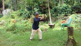 Shibashi  The 18 movements with instruction Tai ChiQigong [upl. by Ranita]