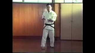 Okinawan GojuRyu Karatedo Katas Higaonna Sensei [upl. by Acimad477]