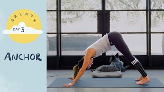 Day 3  Anchor  BREATH  A 30 Day Yoga Journey [upl. by Ahsiyk]