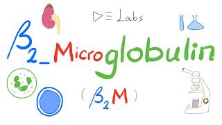 Beta2 Microglobulin Level Serum amp Urine  Labs š§Ŗ [upl. by Hyps]