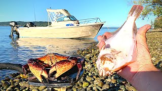 Island Catch amp Cook in SHARK INFESTED Waters Underwater Fishing Footage [upl. by Alhahs540]