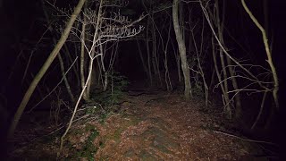 4K・Walking at night in Aokigahara forest no pranks not scary ASMR [upl. by Adnwahsat]