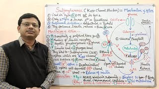 Diabetes Mellitus Part10 Mechanism of Action of Sulfonylurease  Antidiabetic Drugs  Diabetes [upl. by Pomfrey]