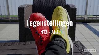 NT2  Tegenstellingen [upl. by Tanney]