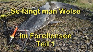 Welsangeln am Forellensee Teil 1 [upl. by Ahsena]