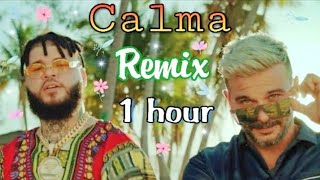 Pedro Capó Farruko  Calma  Remix   1 HOUR [upl. by Gies517]