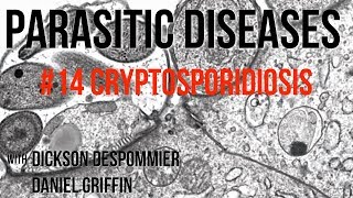 Parasitic Diseases Lectures 14 Cryptosporidiosis [upl. by Tallbot]