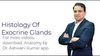 Histology of Exocrine Glands  Anatomy [upl. by Carmelo]